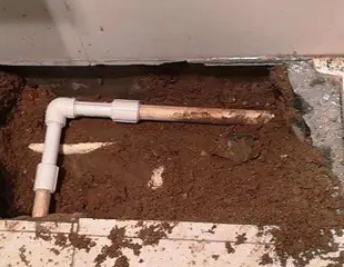 玉门测漏水哪家好