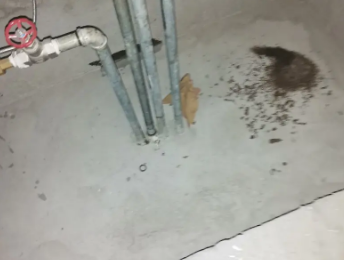 玉门卫生间测漏水价格明细